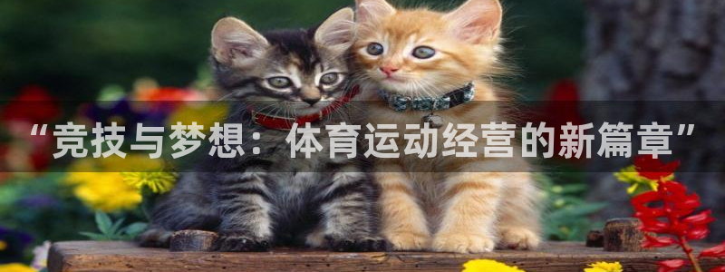bbin视讯游戏官网