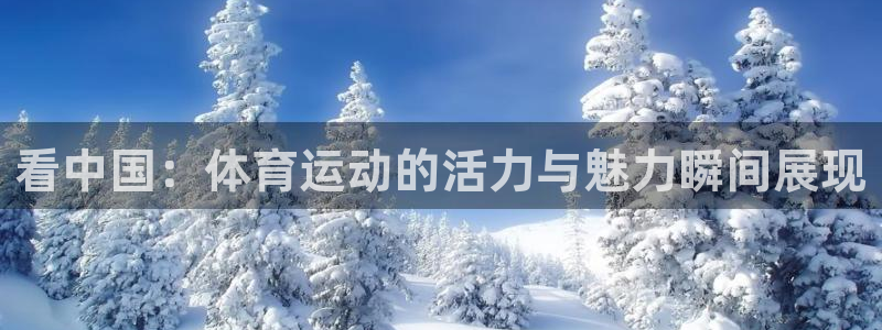 bbin视讯下：看中国：体育运动的活力与魅力瞬间展现