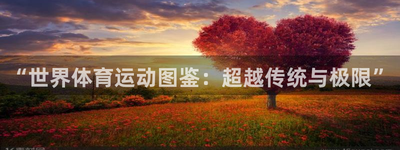 bbin视讯游戏官网：“世界体育运动图鉴：超越传统与极限”