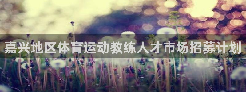 bbin视讯：嘉兴地区体育运动教练人才市场招募计划