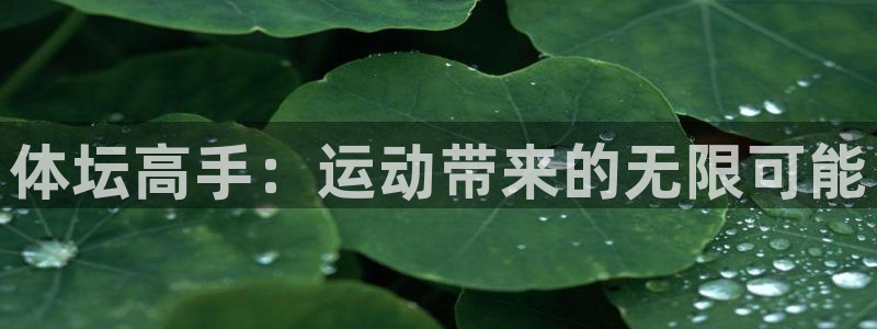 bbin视讯游戏平台：体坛高手：运动带来的无限可能