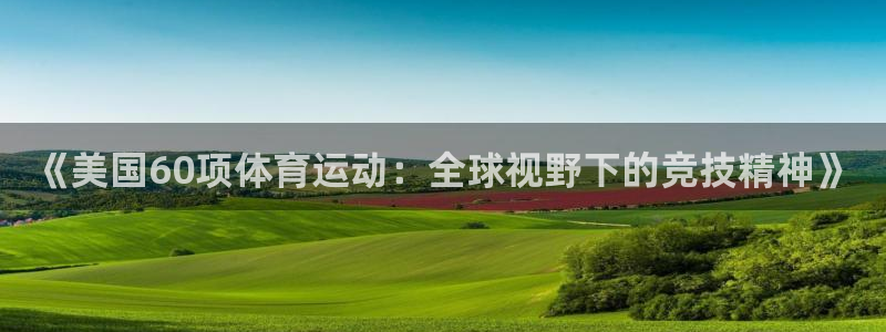 bbin视讯：《美国60项体育运动：全球视野下的竞技精神》