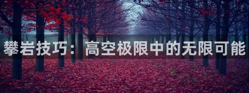 bbin视讯游戏官网：攀岩技巧：高空极限中的无限可能