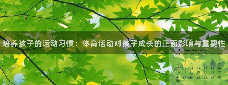 bbin视讯：培养孩子的运动习惯：体育活动对孩子成长的正面影响与重要性